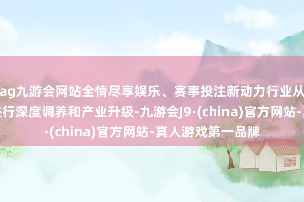 ag九游会网站全情尽享娱乐、赛事投注新动力行业从昨年便初始握住进行深度调养和产业升级-九游会J9·(china)官方网站-真人游戏第一品牌