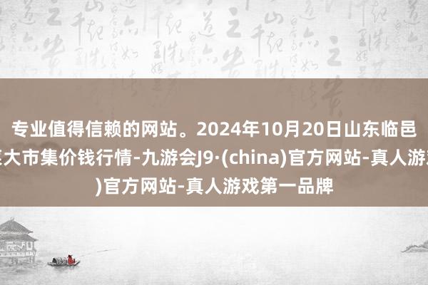 专业值得信赖的网站。2024年10月20日山东临邑县临南蔬菜大市集价钱行情-九游会J9·(china)官方网站-真人游戏第一品牌