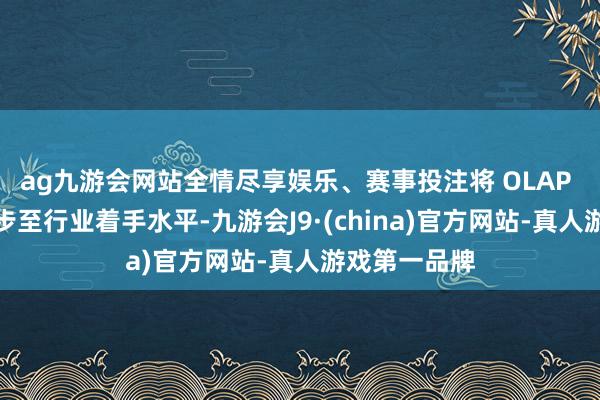 ag九游会网站全情尽享娱乐、赛事投注将 OLAP 分析性能进步至行业着手水平-九游会J9·(china)官方网站-真人游戏第一品牌